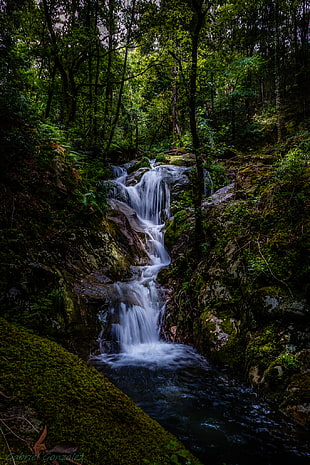 falls time lapse photo