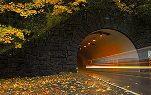 gray concrete tunnel, landscape, tunnel, End of Tunnel, pagemaster HD wallpaper