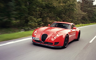 red Alpha Romeo coupe, car, Wiesmann, red cars HD wallpaper