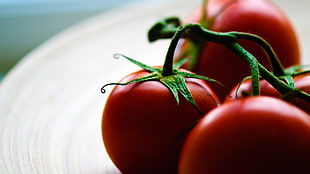 plate of tomatoes, tomatoes, fruit, macro, food HD wallpaper