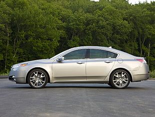 silver sedan near green leaves trees during day time