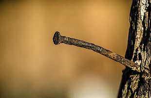 silver-colored diamond ring, nails, rust, wood, depth of field