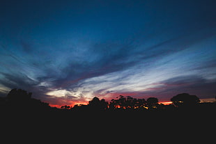 silhouette trees, Sunset, Trees, Sky