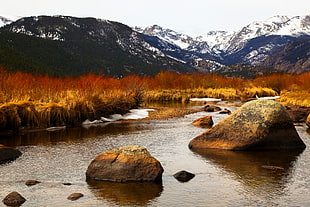 photo of stone at the creek near a mountain HD wallpaper