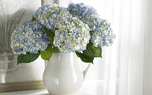 variety of flowers in vase