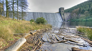 gray dam waterways, nature, water, wood HD wallpaper