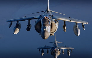 two gray fighter planes, airplane, Harrier, military aircraft, vehicle