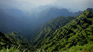 green valley, landscape, nature, mountains