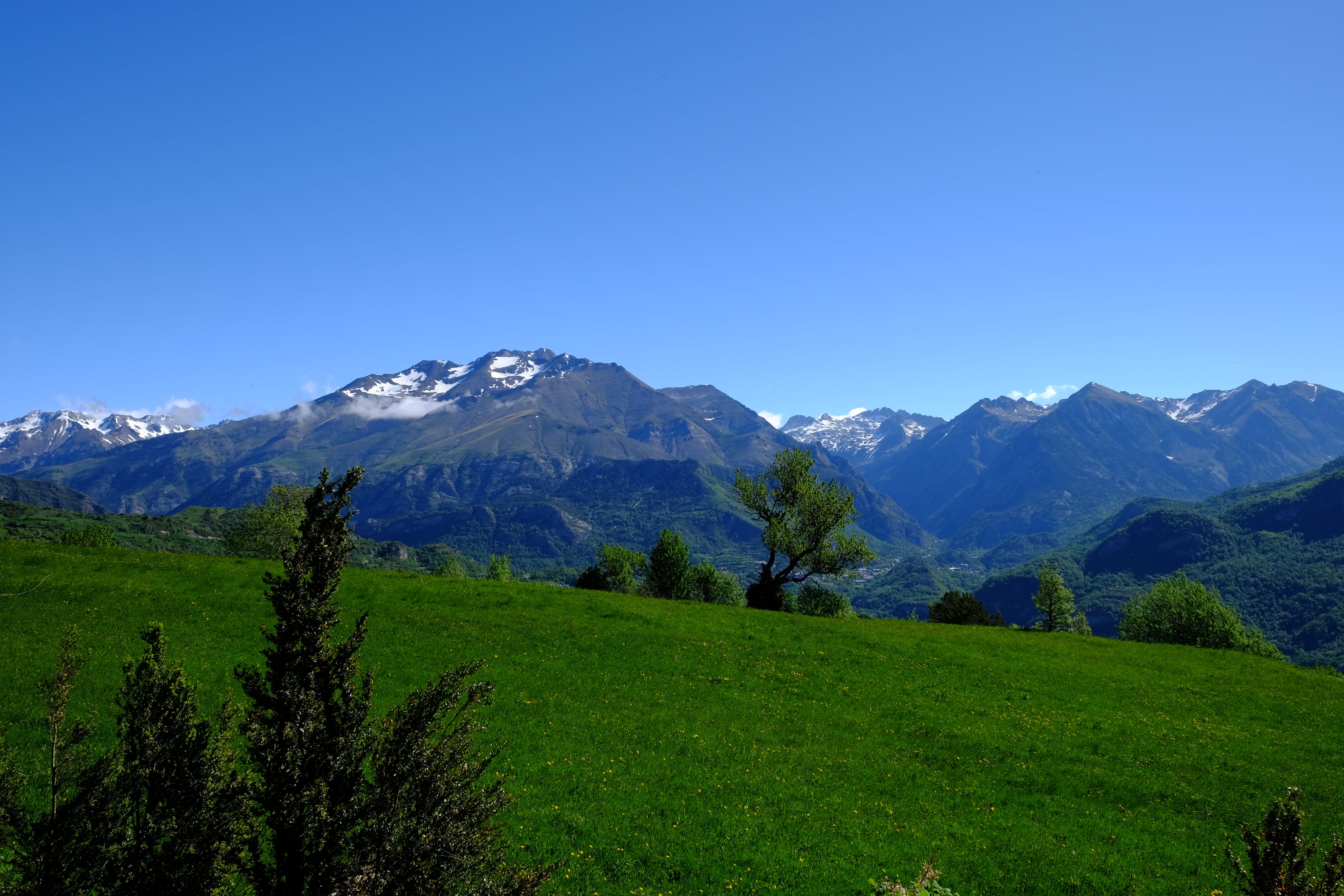 green grass field