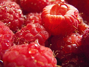 red fruits