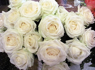 white rose bouquet