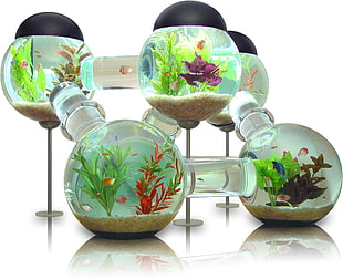 green and white ceramic pitcher, aquarium HD wallpaper