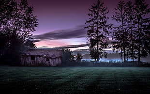 brown cabin, nature, landscape, hut, trees