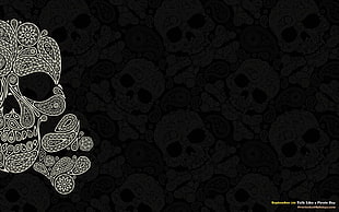 gray and black floral area rug, pattern, Pirate Flag HD wallpaper