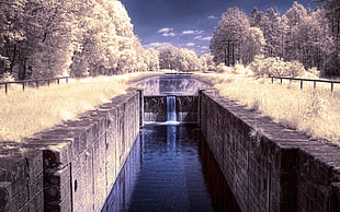 landscape of creek during daylight