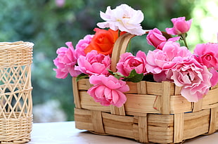 woven basket full of petaled flower HD wallpaper