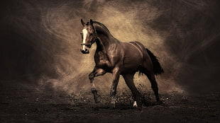 brown horse digital wallpaper, horse, nature, brown