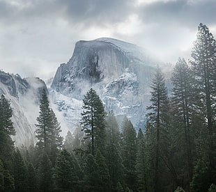 black mountain with snow surrounded by green trees