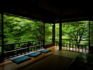 brown wooden terrace near green forest HD wallpaper
