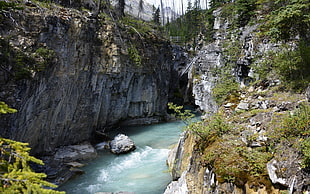 landscape, nature, river