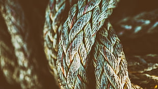 brown rope, photography, closeup, ropes, texture HD wallpaper