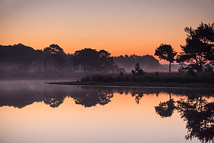 body of water, nature, landscape, lake, mist