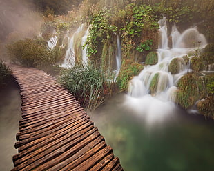 white and green floral textile, waterfall, bridge, long exposure HD wallpaper