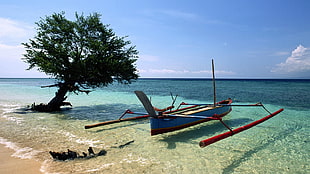 blue and red paddle boat on clear sea water during daytime