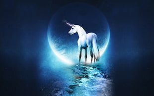 white unicorn graphic wallpaper, unicorns HD wallpaper