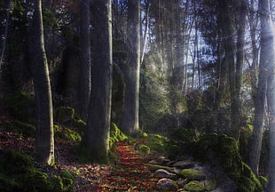 green leaves trees forest painting