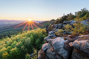 rock mountain surrounded by green leaves tree during sunrise HD wallpaper