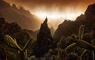 green cactus, nature, landscape, mountains, sunset HD wallpaper