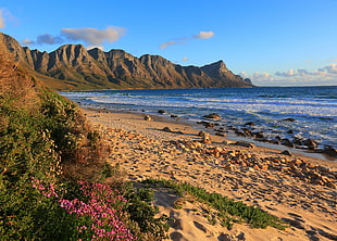 natures photography of sea surrounded by mountains