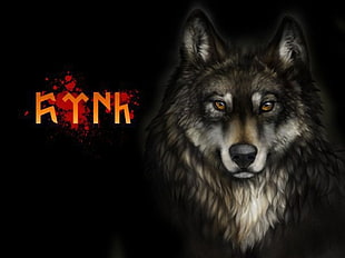 illustration of wolf, wolf HD wallpaper