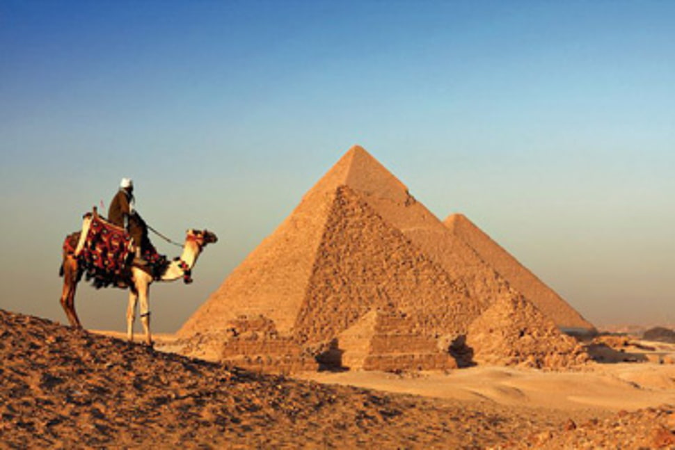 man riding on camel near brown concrete Pyramid during daytime HD wallpaper