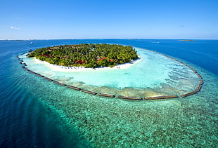 birds eye photography of islet, beach, landscape, Maldives HD wallpaper