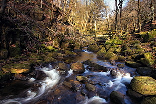 photography of body of water during day time