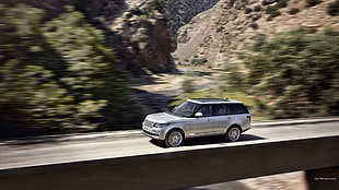 silver SUV, Range Rover, car, vehicle HD wallpaper