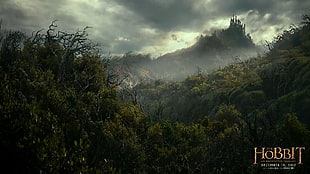 The Hobbit digital wallpaper, The Hobbit, movies HD wallpaper