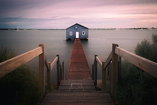 blue house, photography, nature, landscape, house