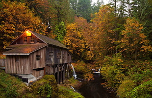 brown wooden house, forest, watermills HD wallpaper