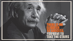 Albert Einstein photo, Albert Einstein, fake quote, brain HD wallpaper