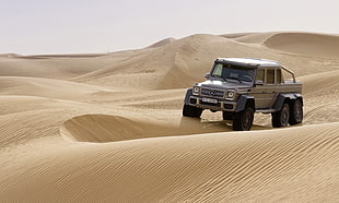 gray Mercedes-Benz SUV on dessert