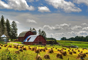 barn with bales of hays, york