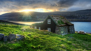 brown and gray wooden house, landscape, house, water, Sun