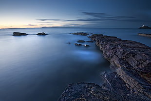 rocky shore on body of water during daytime