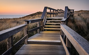 brown wooden dock along brown grass field