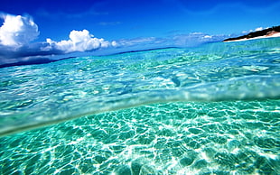 clear sea water photography under blue daytime sky HD wallpaper
