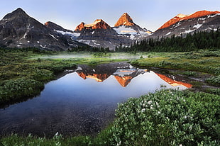 landscape photography of mountain, summer, morning, mist, lake HD wallpaper