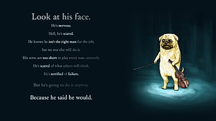 look at his face. text, motivational, Adventure Time, pug  HD wallpaper